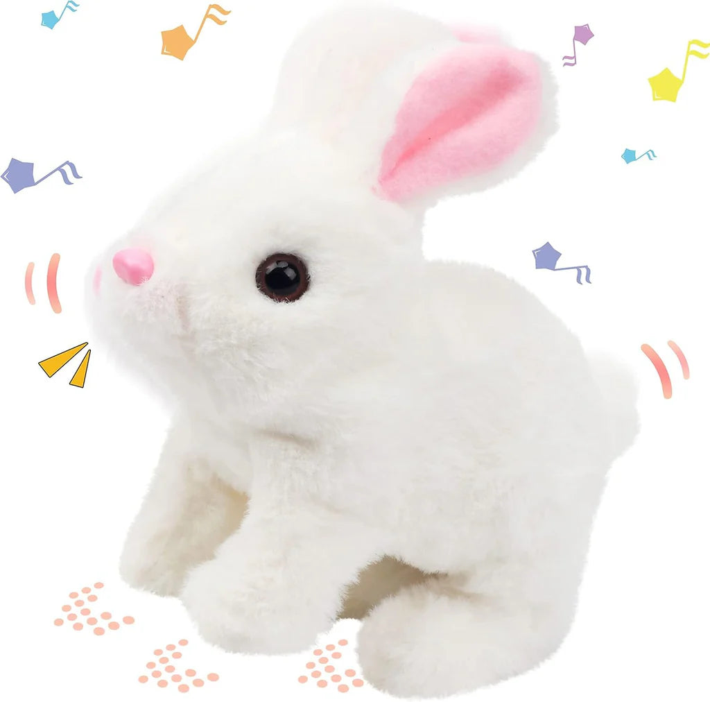 The Cloud Bunny