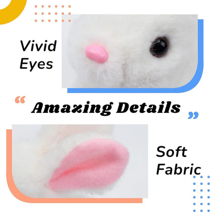 The Cloud Bunny